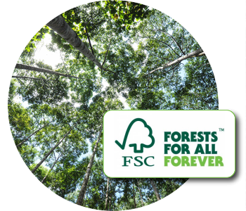 TP-fsc